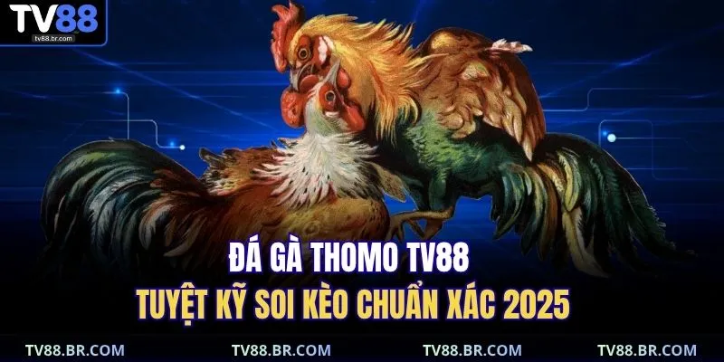 Đá gà Thomo